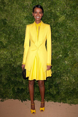 Liya Kebede pic #566015
