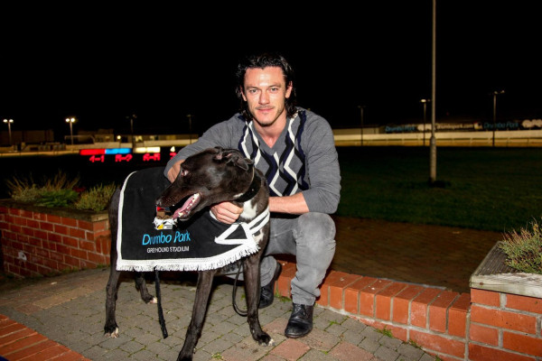 Luke Evans pic #743037
