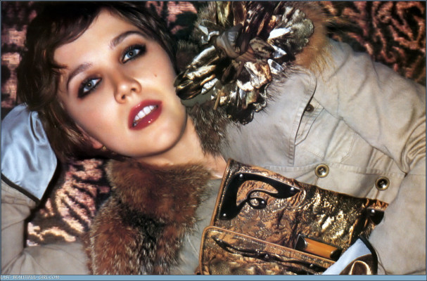 Maggie Gyllenhaal pic #49355