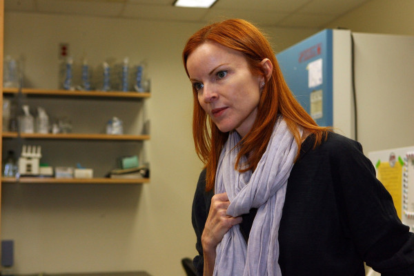 photo 15 in Marcia Cross gallery [id527840] 2012-09-02 00:00:00