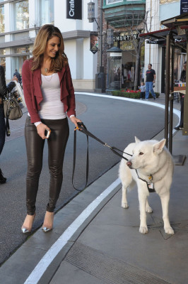 Maria Menounos pic #575130