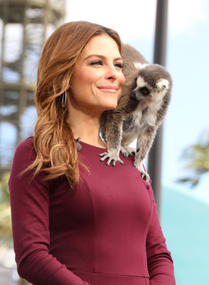 photo 10 in Menounos gallery [id687077] 2014-04-04 00:00:00