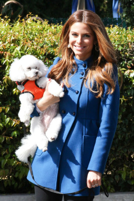 Maria Menounos pic #676381