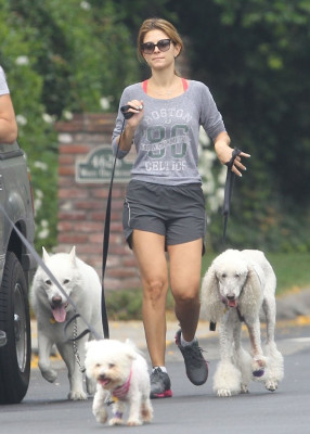 Maria Menounos pic #623005