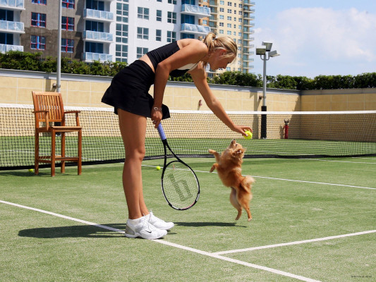 Maria Sharapova pic #78442