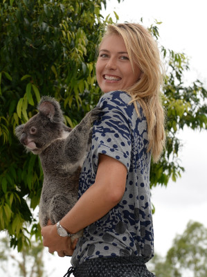 Maria Sharapova pic #752844