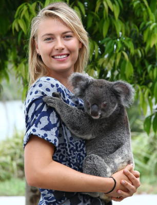 Maria Sharapova pic #752850