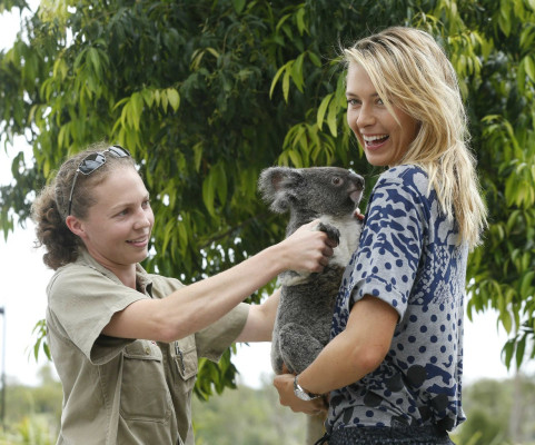 Maria Sharapova pic #752854