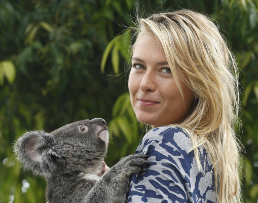 Maria Sharapova pic #752857