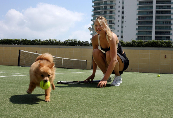 Maria Sharapova pic #346444