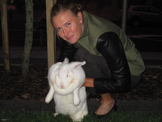Maria Sharapova pic #334891