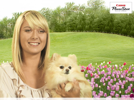 Maria Sharapova pic #236306