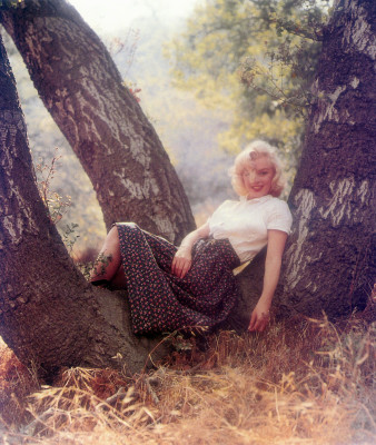 Marilyn Monroe pic #52864