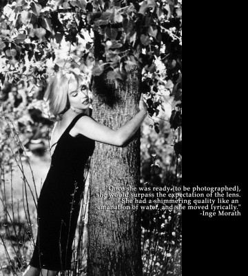 Marilyn Monroe pic #23506