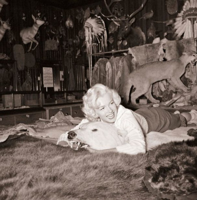 Marilyn Monroe pic #293526
