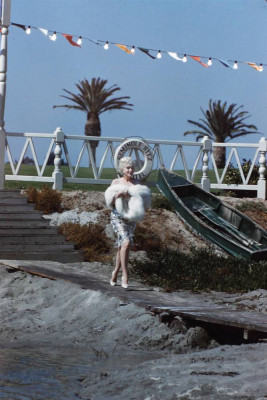 Marilyn Monroe pic #274455