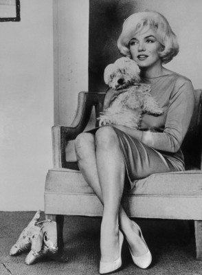 Marilyn Monroe pic #260843