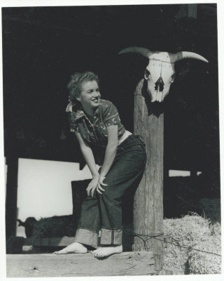 Marilyn Monroe pic #255840