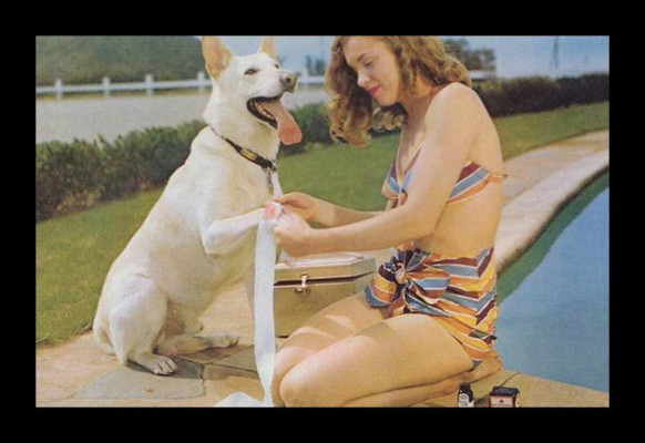 Marilyn Monroe pic #71711