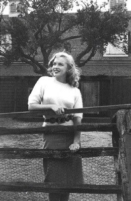 Marilyn Monroe pic #52809