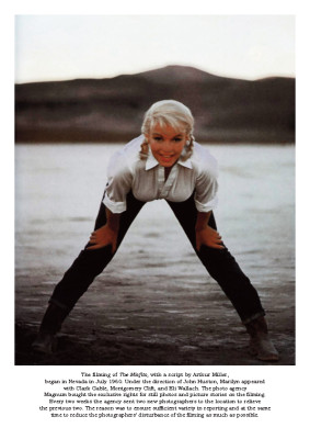 Marilyn Monroe pic #249478