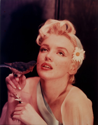 Marilyn Monroe pic #421814