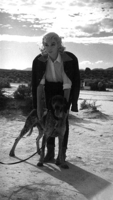 Marilyn Monroe pic #463429