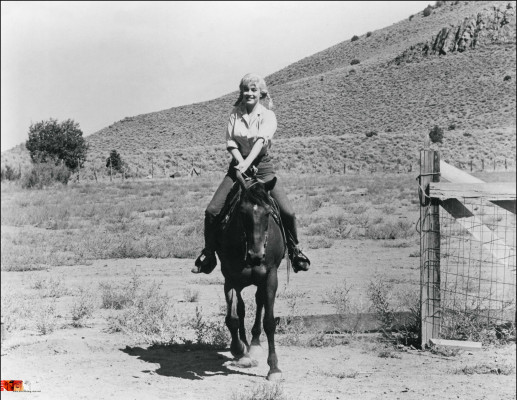 photo 22 in Marilyn Monroe gallery [id715747] 2014-07-07 00:00:00
