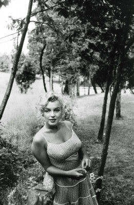 Marilyn Monroe pic #311713