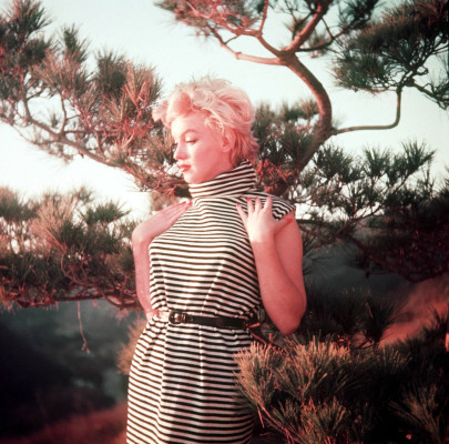 Marilyn Monroe pic #264864