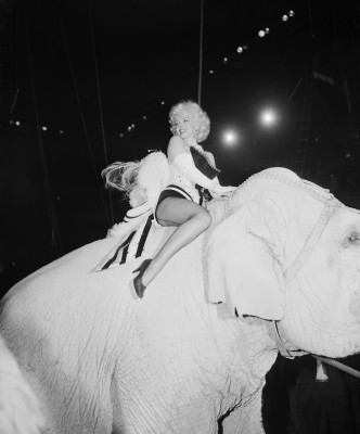 photo 13 in Marilyn Monroe gallery [id65619] -0001-11-30 00:00:00