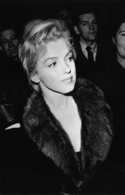 Marilyn Monroe pic #365717