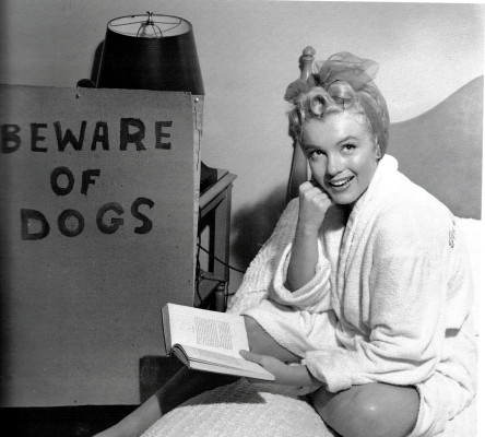 Marilyn Monroe pic #366056