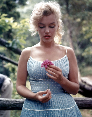 Marilyn Monroe pic #366049