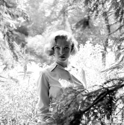 Marilyn Monroe pic #365066