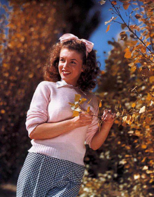 Marilyn Monroe pic #22882