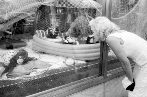 Marilyn Monroe pic #377416