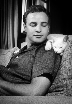 photo 14 in Marlon Brando gallery [id182638] 2009-09-23 00:00:00