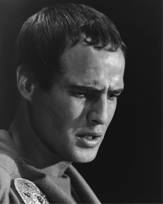 photo 21 in Brando gallery [id378860] 2011-05-17 00:00:00