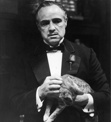photo 16 in Marlon Brando gallery [id382159] 2011-05-30 00:00:00