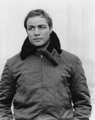 photo 6 in Brando gallery [id384163] 2011-06-07 00:00:00