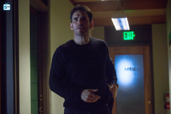 Matt Dillon pic #1237436