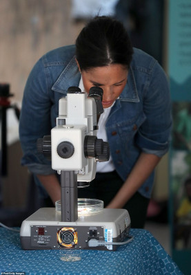 Meghan Markle pic #1179862