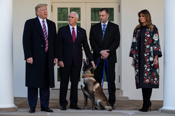 photo 19 in Melania Trump gallery [id1195850] 2019-12-24 00:00:00