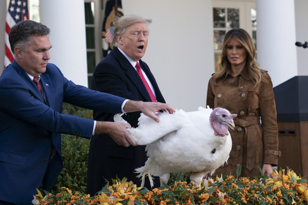photo 23 in Melania Trump gallery [id1195846] 2019-12-24 00:00:00
