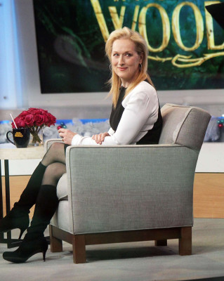 photo 5 in Meryl Streep gallery [id746907] 2014-12-10 00:00:00