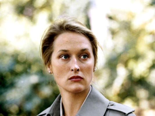 photo 15 in Meryl Streep gallery [id1313327] 2022-11-08 00:00:00