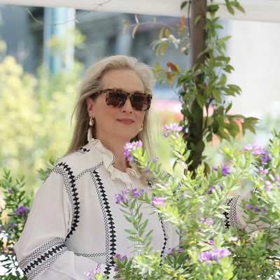 photo 28 in Meryl Streep gallery [id1175014] 2019-09-04 00:00:00