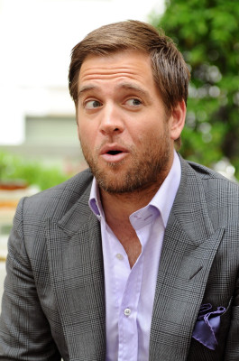 Michel Weatherly pic #208089
