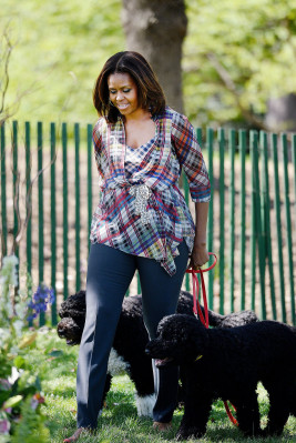 Michelle Obama pic #694013